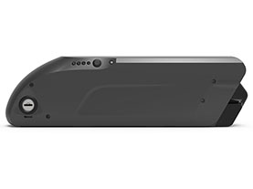DS-4